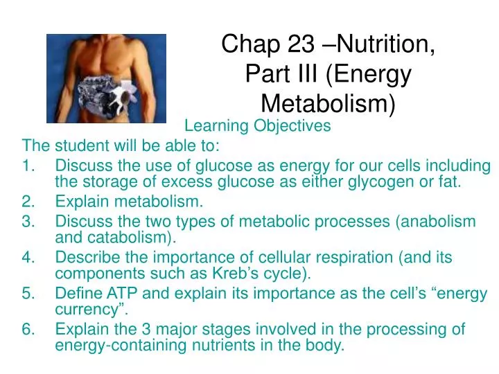 chap 23 nutrition part iii energy metabolism
