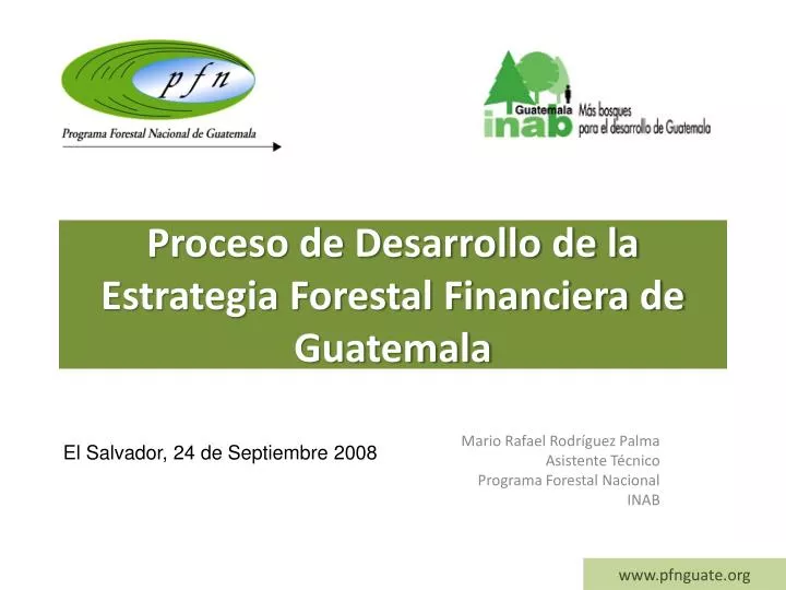 proceso de desarrollo de la estrategia forestal financiera de guatemala