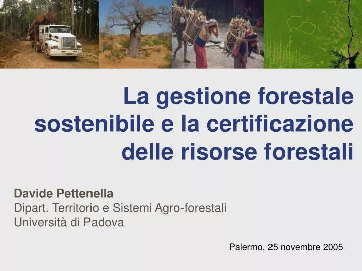 la gestione forestale sostenibile e la certificazione delle risorse forestali