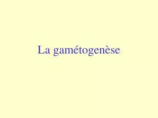 la gam togen se