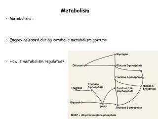 Metabolism Metabolism = Energy released during catabolic metabolism goes to: How is metabolism regulated?