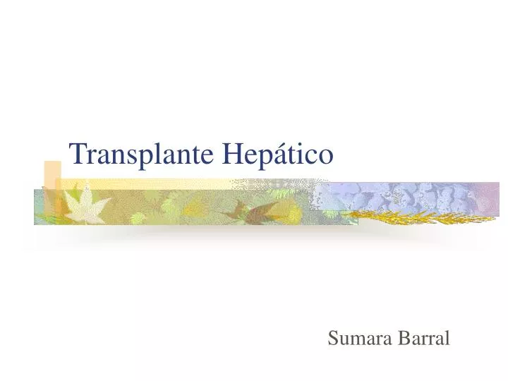 transplante hep tico