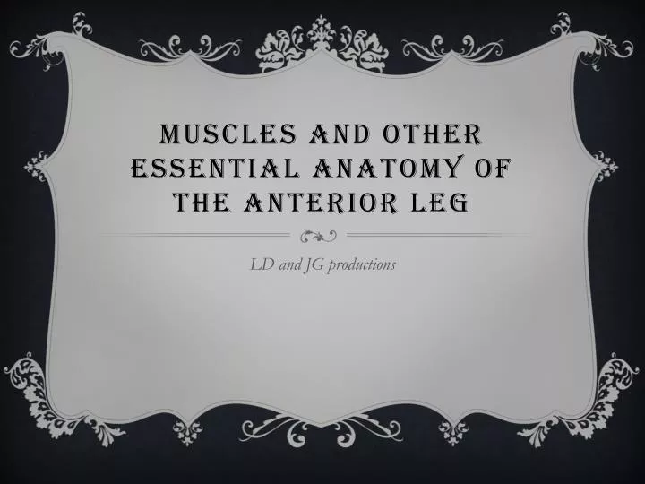 muscles and other essential anatomy of the anterior leg