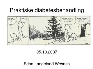 Praktiske diabetesbehandling