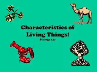 Characteristics of Living Things! Biology 137