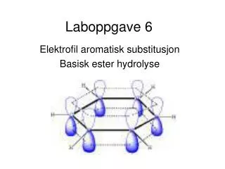 laboppgave 6