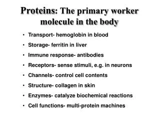 Proteins : The primary worker molecule in the body