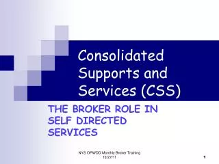 Consolidated Supports and Services (CSS)