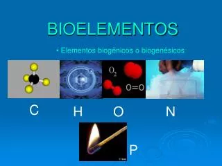 bioelementos