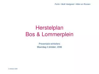 Herstelplan Bos &amp; Lommerplein