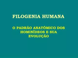 filogenia humana