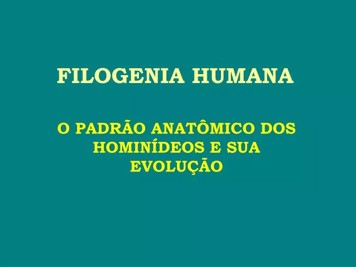 filogenia humana