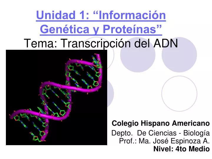 unidad 1 informaci n gen tica y prote nas tema transcripci n del adn