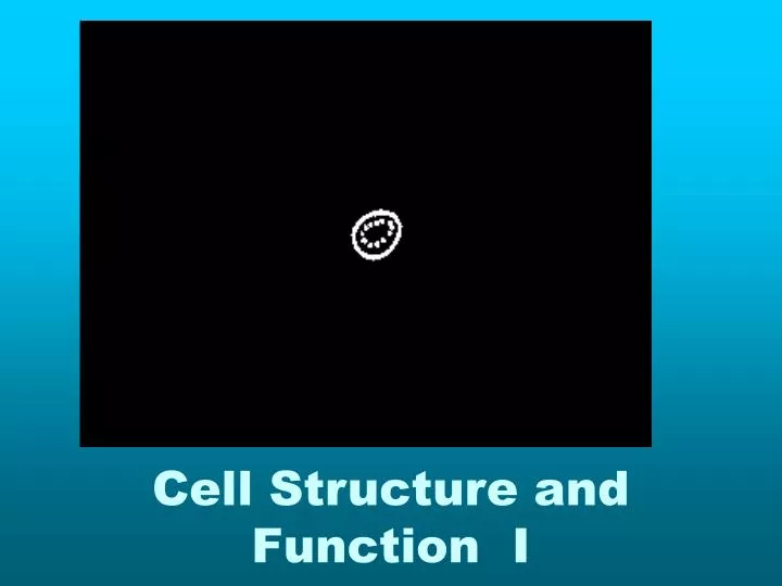 cell structure and function i