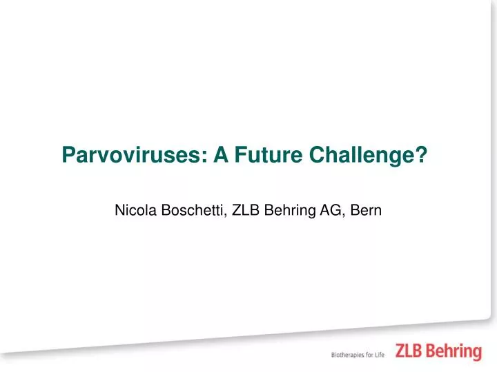 parvoviruses a future challenge