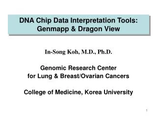 DNA Chip Data Interpretation Tools: Genmapp &amp; Dragon View