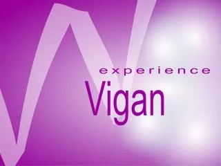 Experience Vigan