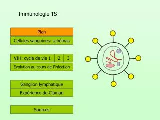 immunologie ts