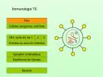 Immunologie TS - slide 1