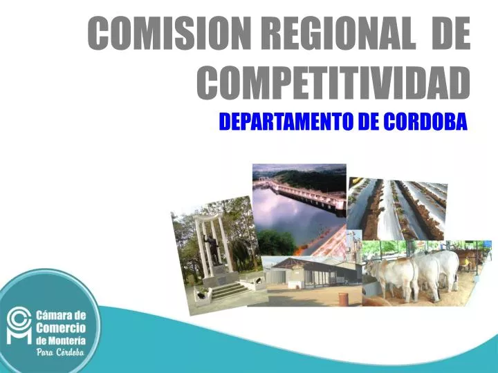 comision regional de competitividad