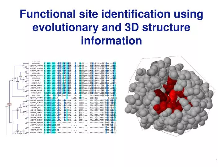 functional site identification using evolutionary and 3d structure information