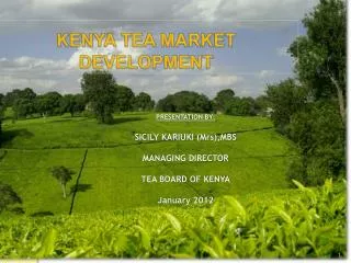 PRESENTATION BY: SICILY KARIUKI (Mrs),MBS MANAGING DIRECTOR TEA BOARD OF KENYA January 2012