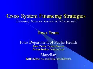 Cross System Financing Strategies Learning Network Session #1-Homework