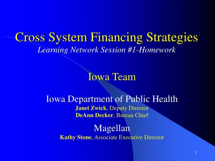 cross system financing strategies learning network session 1 homework