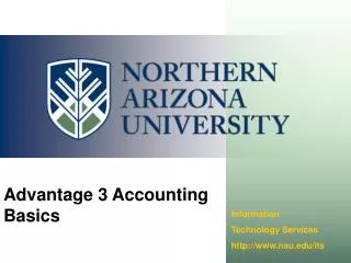 Advantage 3 Accounting Basics