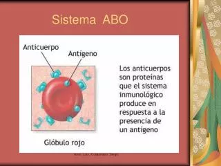 sistema abo