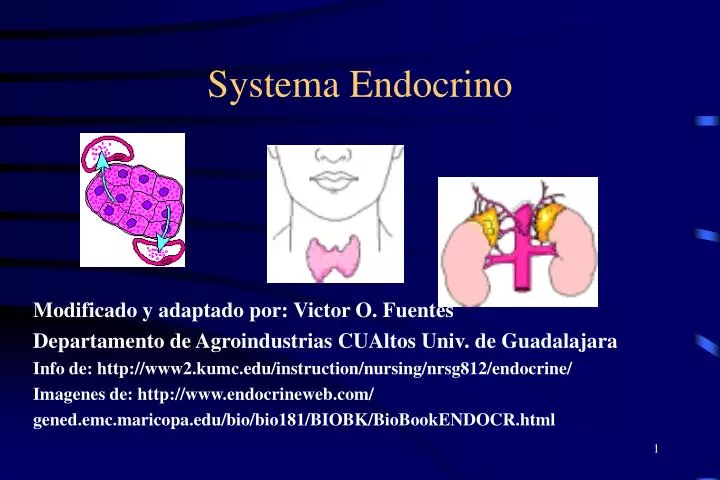 systema endocrino