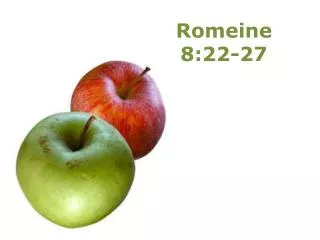 Romeine 8:22-27