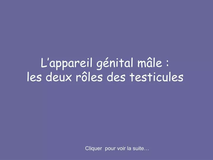 l appareil g nital m le les deux r les des testicules