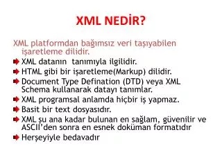 xml ned r