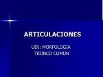 ARTICULACIONES - slide 1