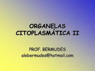 ORGANELAS CITOPLASMÁTICA II