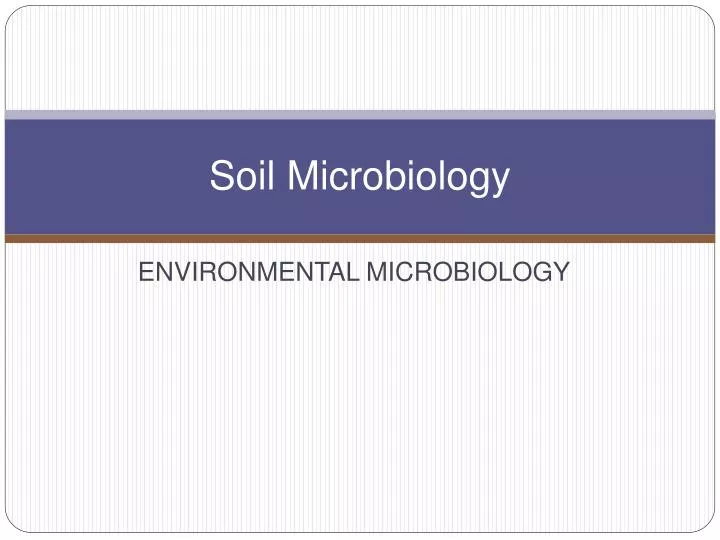 soil microbiology