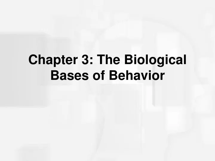 chapter 3 the biological bases of behavior