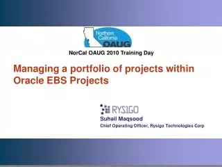 Managing a portfolio of projects within Oracle EBS Projects
