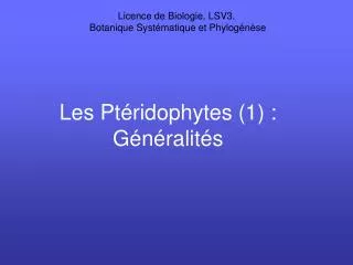 Les Ptéridophytes (1) : Généralités