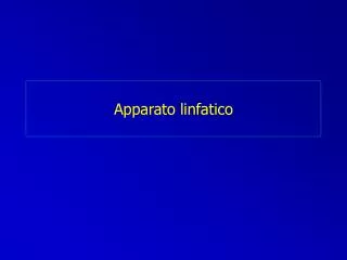 apparato linfatico