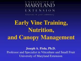 Early Vine Training, Nutrition, and Canopy Management