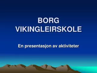 BORG VIKINGLEIRSKOLE