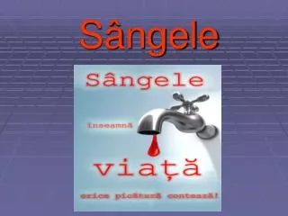 s ngele