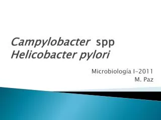 campylobacter spp helicobacter pylori