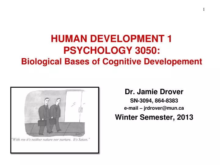 human development 1 psychology 3050 biological bases of cognitive developement