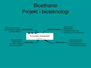 Bioethanol Projekt i bioteknologi