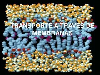 transporte a traves de membranas