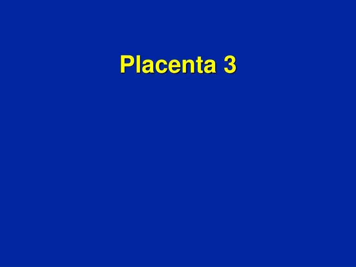 placenta 3