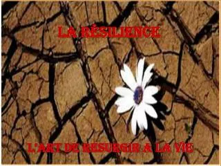 la r silience